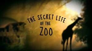 The Secret Life of the Zoo S08E02 HDTV x264 LiNKLE