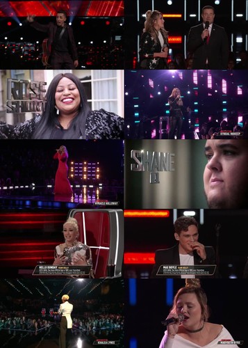 The Voice S17E15 XviD AFG
