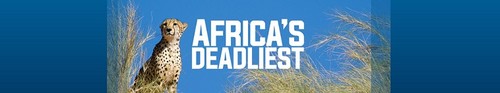 Africas Deadliest S04E02 Mob Rule WEBRip x264 CAFFEiNE