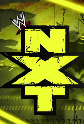 WWE NXT 2019 11 13 HDTV x264 NWCHD