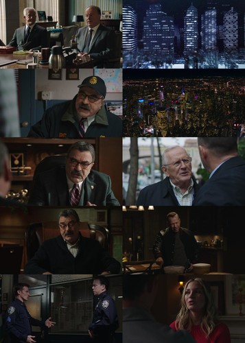 Blue Bloods S10E08 Friends in High Places 1080p AMZN WEB DL DDP5 1 H 264 NTb