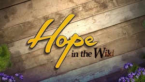 Hope in the Wild S02E08 A Day in the Life of Lily WEB x264 LiGATE