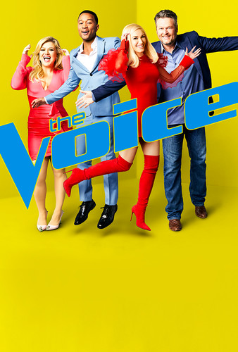 The Voice S17E17 XviD AFG