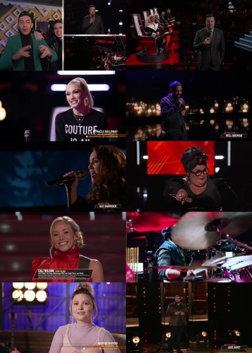 The Voice S17E17 XviD AFG