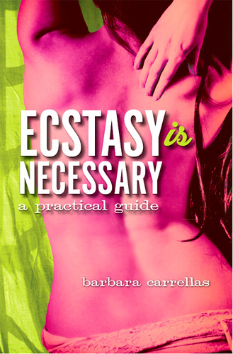 Ecstasy is Necessary A Practical Guide