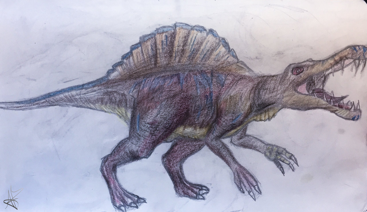 spinosaurus__my_interpretation_of_a_3d_model__by_alienatedfandoms-dc6sezj-001.jpg