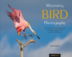 Mastering Bird Photography - The Art, Craft, and Technique of Photographing Birds and Their Behavior