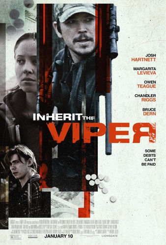 Inherit The Viper 2019 1080p WEB-DL H264 AC3-EVO