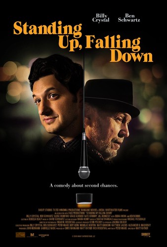 Standing Up Falling Down 2019 1080p WEB-DL H264 AC3-EVO