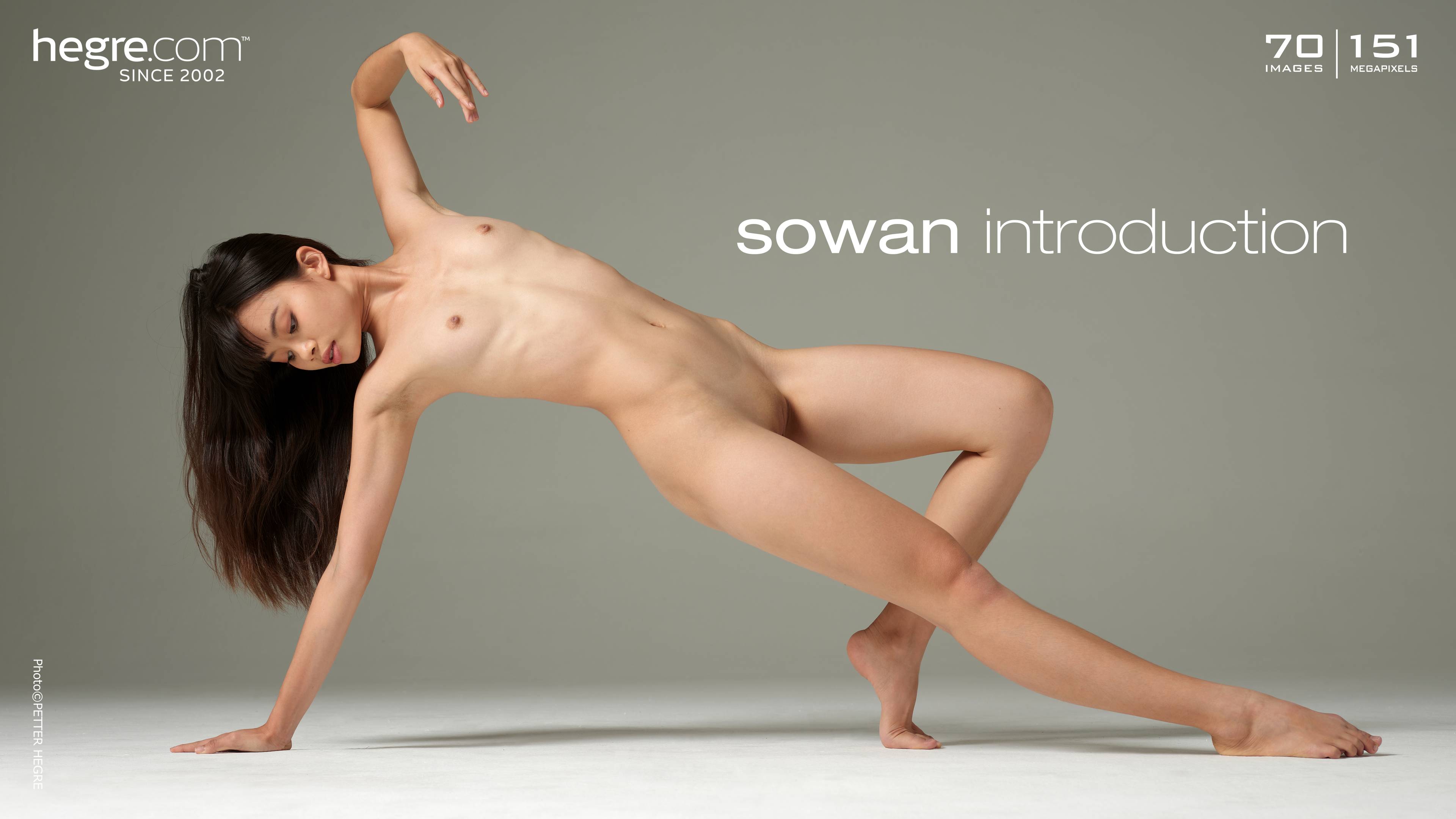 sowan-introduction-board.jpg