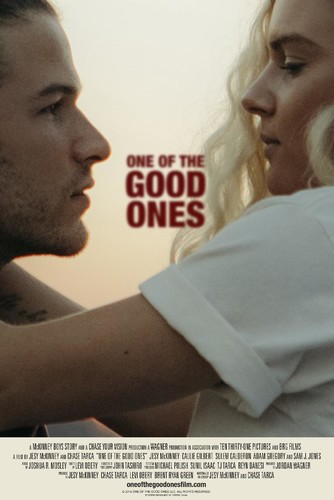 One Of The Good Ones 2020 1080p WEB-DL H264 AC3-EVO