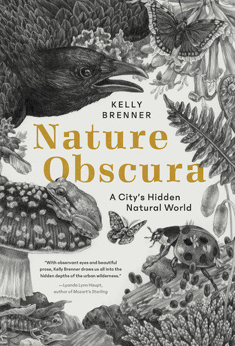 Nature Obscura by Kelly Brenner 