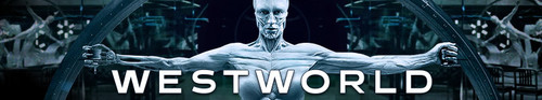 Westworld S03E06 Decoherence 720p AMZN WEB-DL DDP5 1 H 264-NTb 