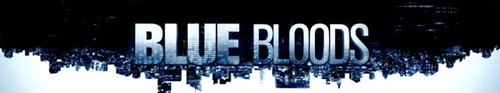 Blue Bloods S10E18 Hide in Plain Sight 720p AMZN WEB-DL DDP5 1 H 264-NTb 