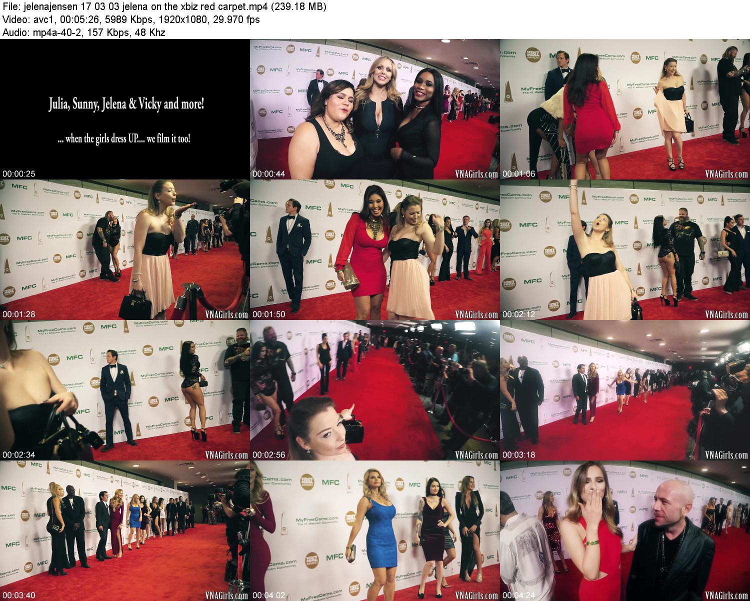 jelenajensen.17.03.03.jelena.on.the.xbiz.red.carpet.jpg