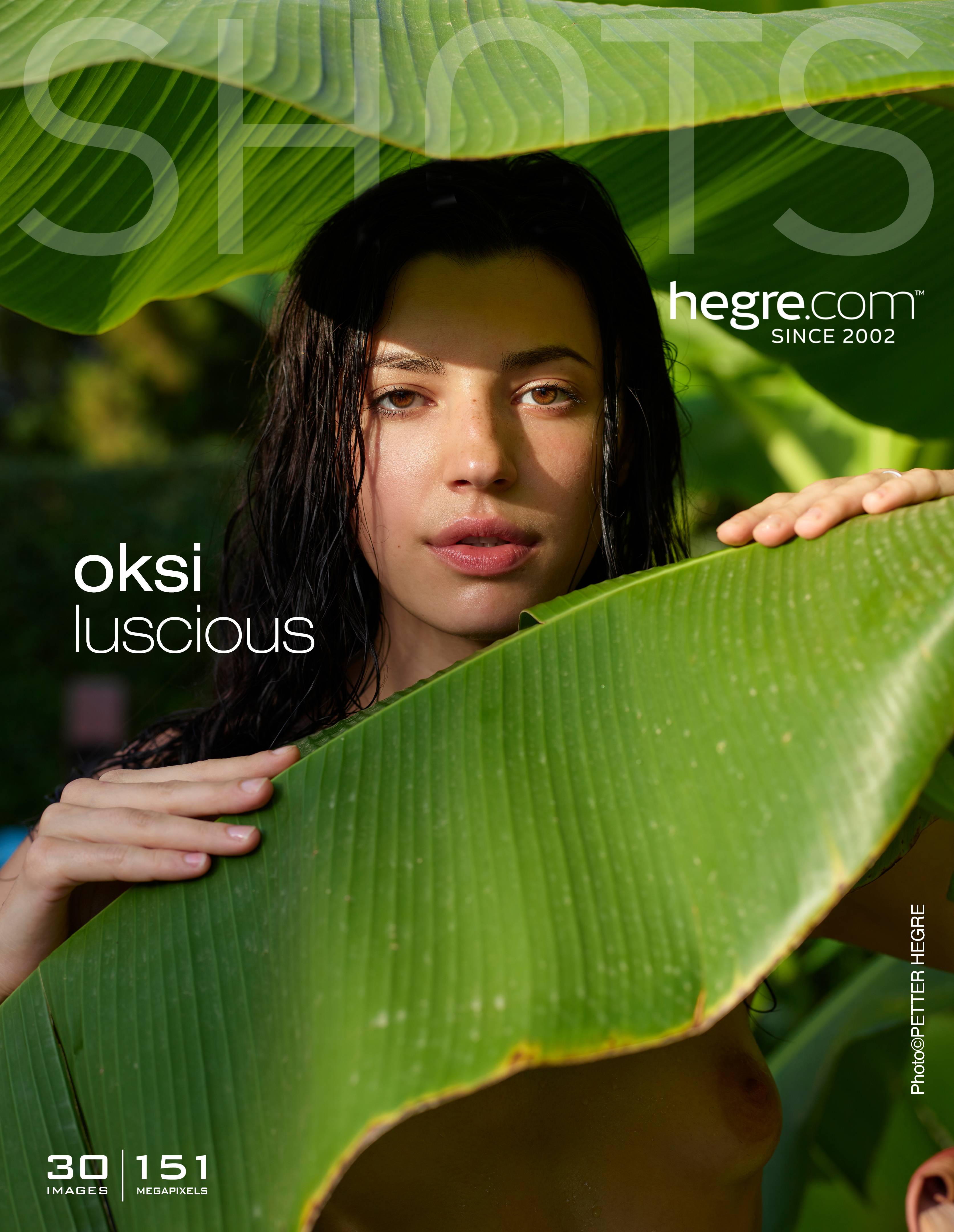 oksi-luscious-poster.jpg