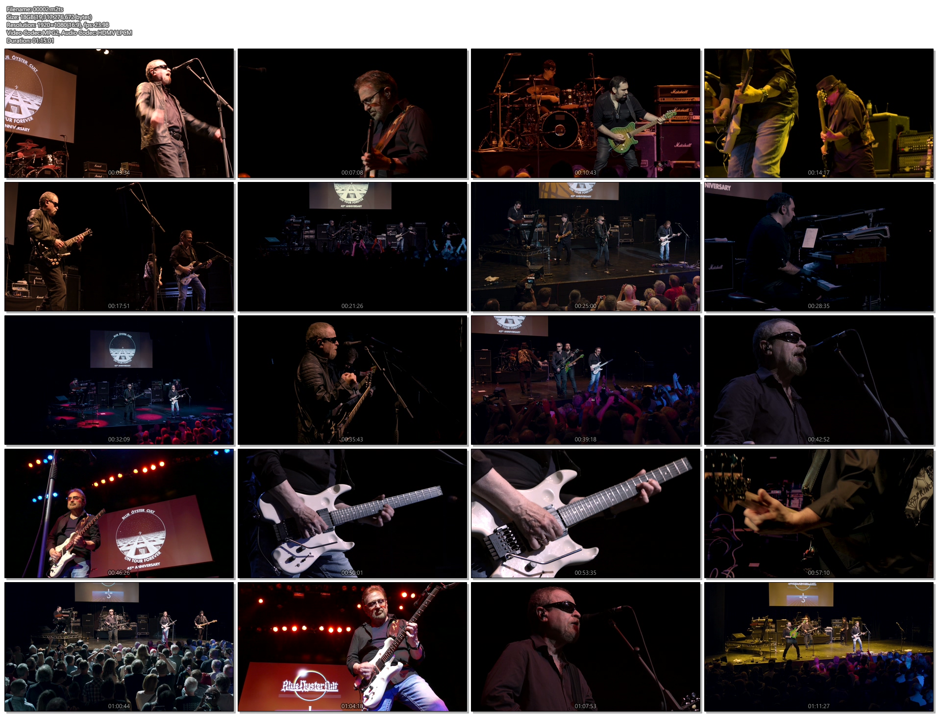 Blue Oyster Cult- Live in London.jpg
