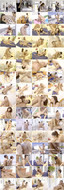 102 Sex Positionen (2010) DVDRip