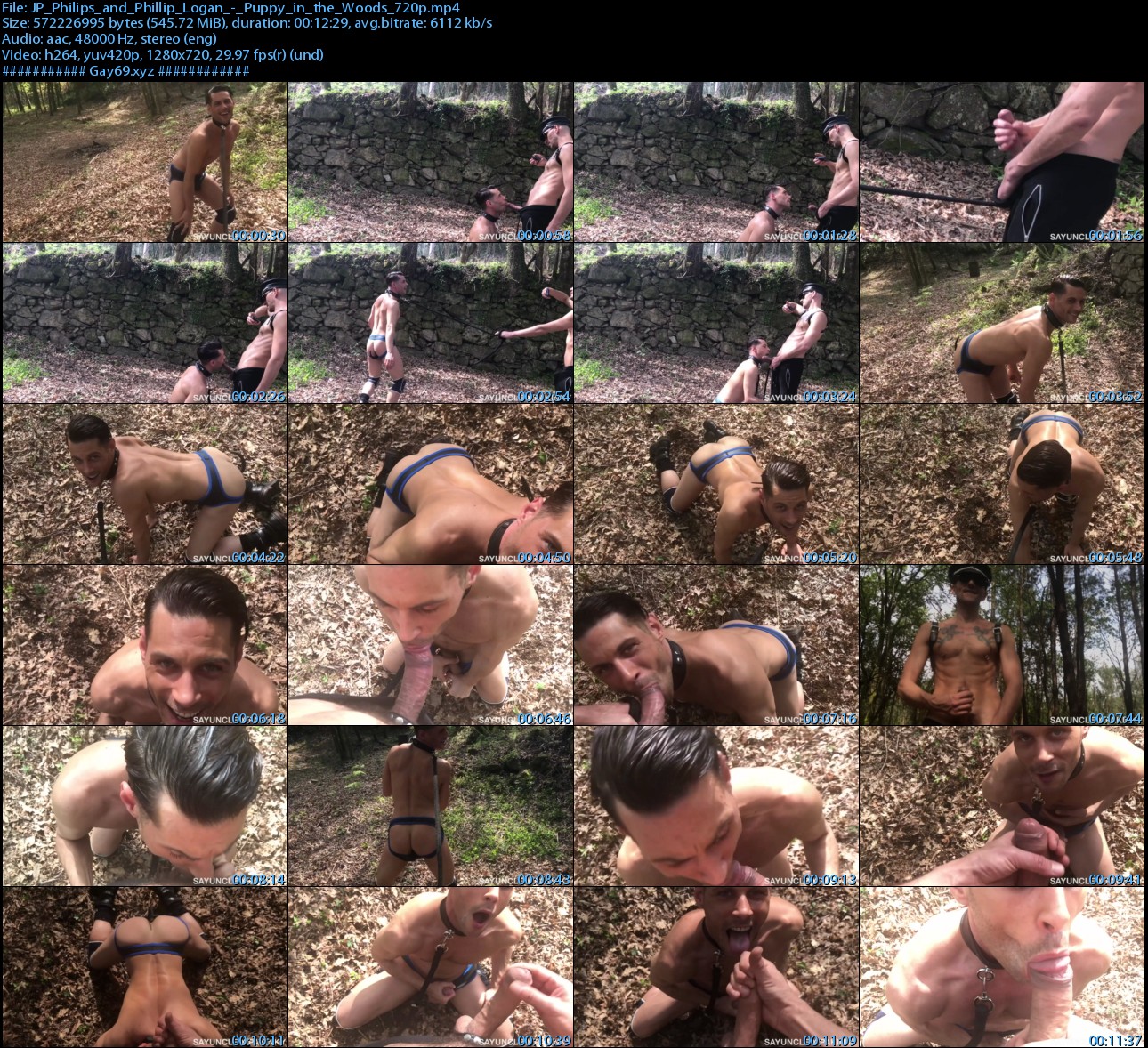 JP_Philips_and_Phillip_Logan_-_Puppy_in_the_Woods_720p_s.jpg